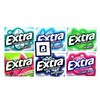 Bitetwist Assorted Chewing Gum, Variety pack Of Extra Long Lasting