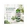 Shampoo Rejuvenecedor Romero Y Eucalipto 1lt Baño Botánico