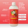 Shampoo Citrus & Kalanchoe Limpieza e Hidratación Productos Mart Mexico