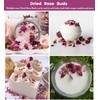 8 oz/226 g-Dried Rose Petals & Dried Rose Buds -