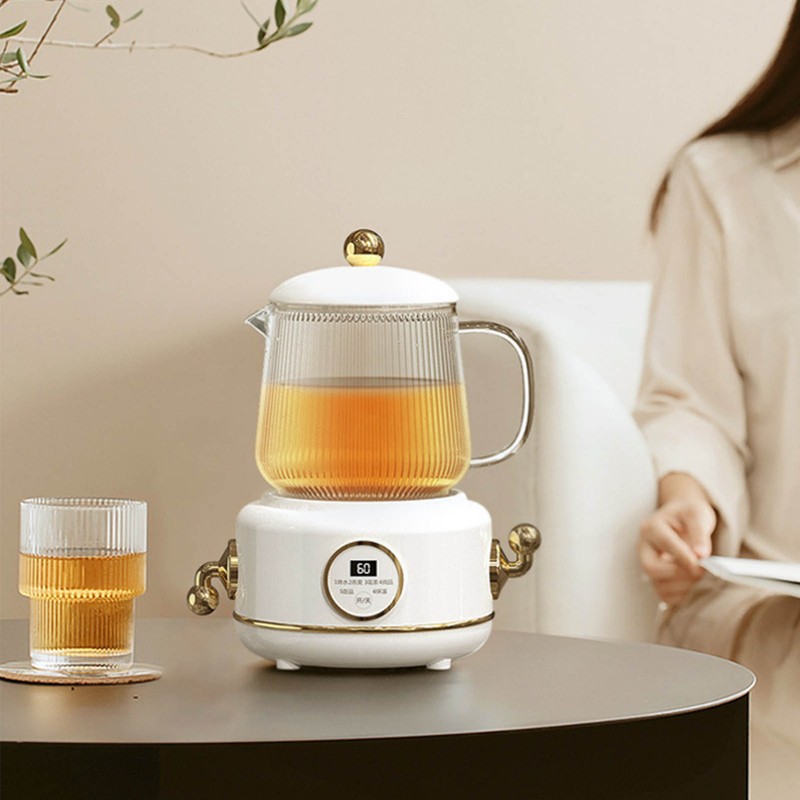 Health Pot Stainless Steel Glass Multifunctional Mini Electric Tea Maker
