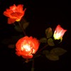 Aketek Outdoor Solar Powered 3 LED Rose Flower Light Lamp