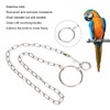 Mrisata Conure Harness Anklet 54cm Stainless Steel Split Foot Chain
