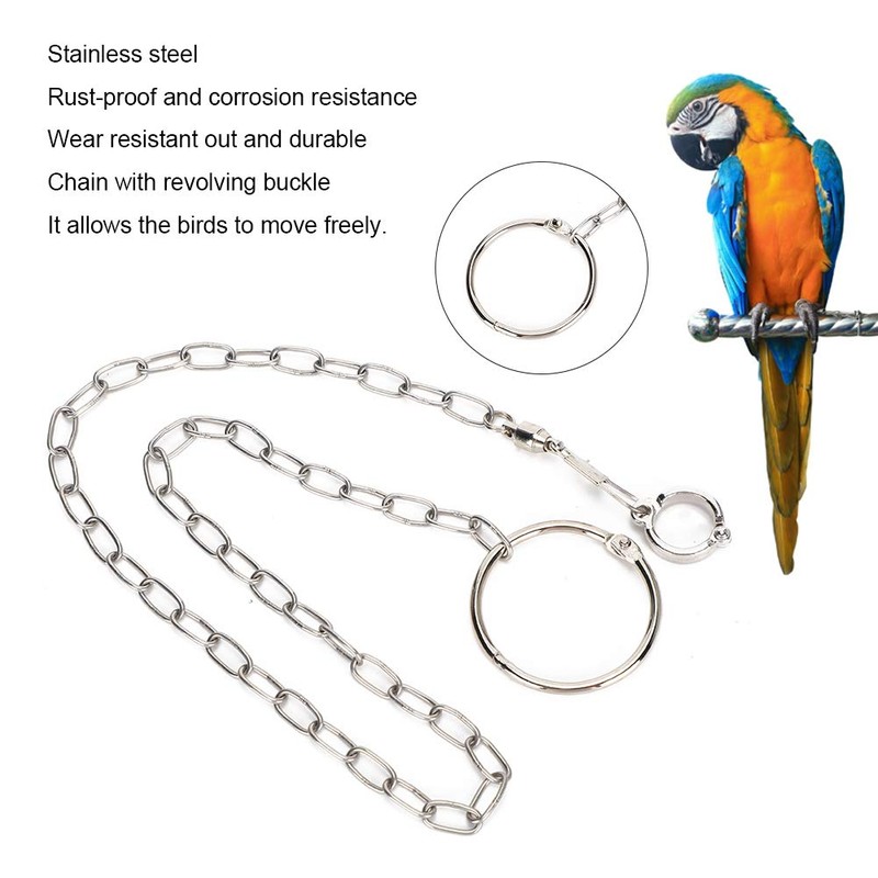 Mrisata Conure Harness Anklet 54cm Stainless Steel Split Foot Chain