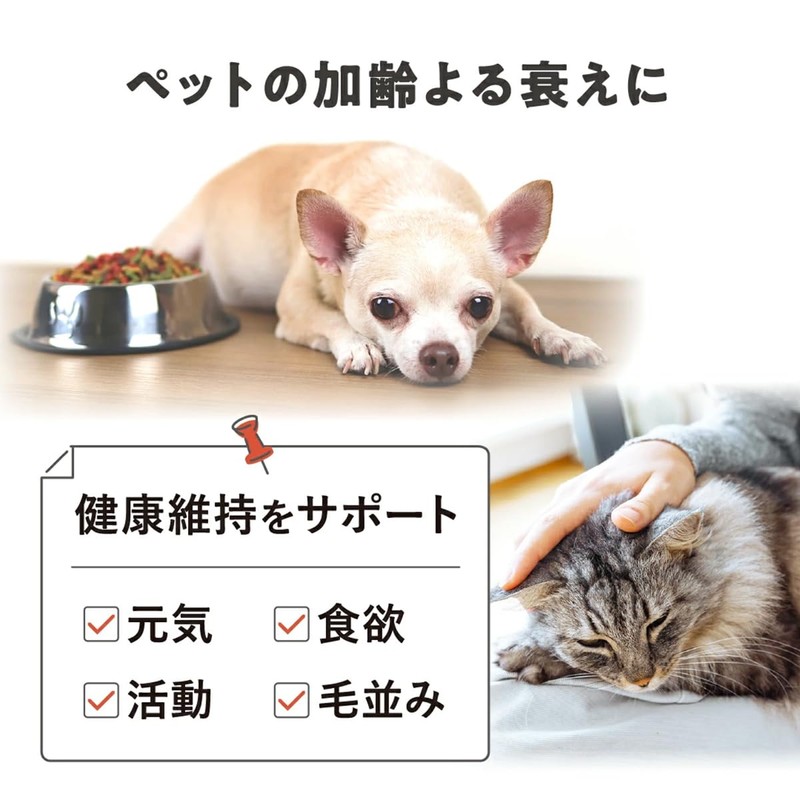 JBPET Placenta Supplement EQ Powder