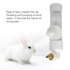 Small Animal Water Bottle Large Capacity Leakproof Transparent Rabbit Water