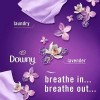 Febreze PLUG Scent Booster Kit, CALM Lavender + Vanilla Bean