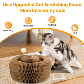 Upgraded Kitty Kurlz Cat Toy, Magic Organ Cat Scratcher Board with 2 Balls for Mental & Physical Exercise, Multi-Shape Interactive Cardboard Cat Toy for Indoor Cats Infinite-Flip, Brown/Gray, 1 Pack