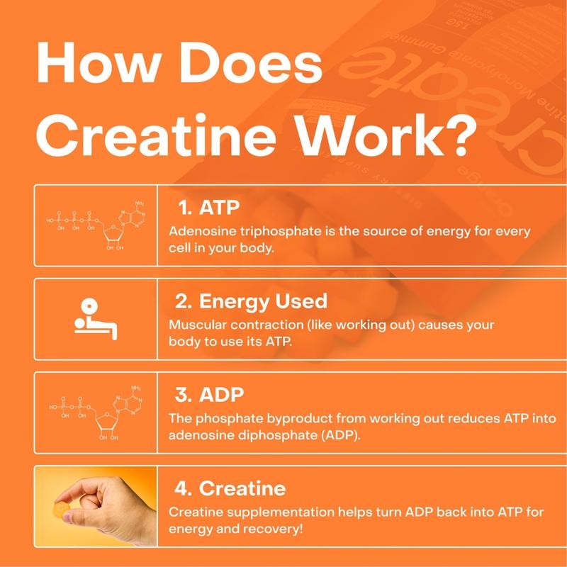 Creatine Monohydrate Gummies – Strength, Energy & Endurance Support for