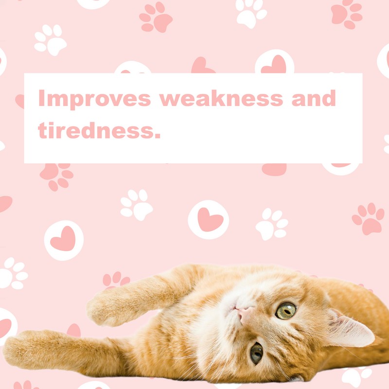 LifeLink's Zobaline for Cats 3 mg x 60 tablets