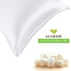 Since Silk 100% Mulberry Silk Pillowcase 2 Pieces Set, 20