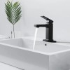 Matte Black Single Handle Basin Faucet for Bathroom & Laundry