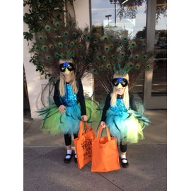 25 Pcs Natural Peacock Feathers 25"-40" (30"-35")