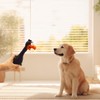 TUICARE Chew-Resistant Chicken Dog Toy Realistic Sound to Entertain Safe