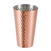 Asahi CNE976 Copper Tumbler, 15.2 fl oz (450 ml) x