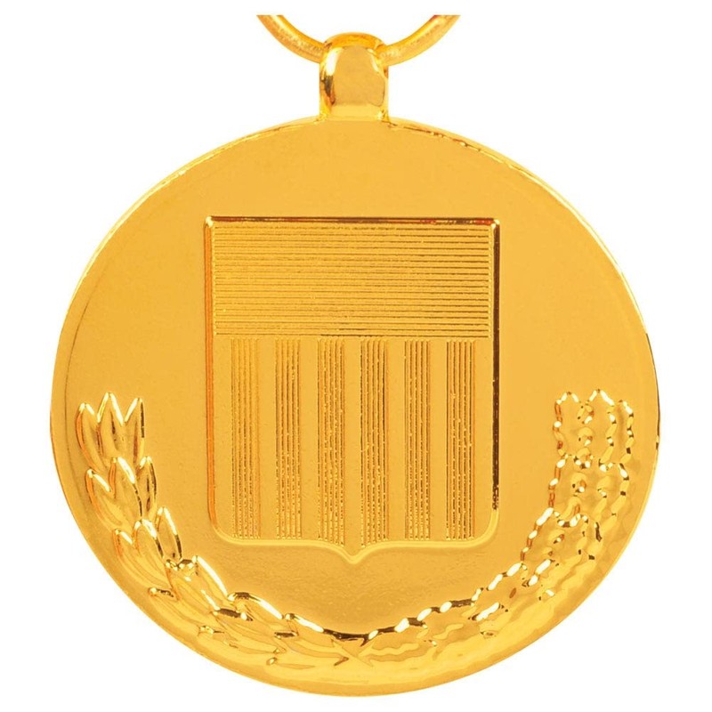 National Defense Service Medal Anodized Full Size
