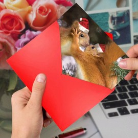 The Best Card Company - 12 Tarjetas De Navidad En Caja Con S