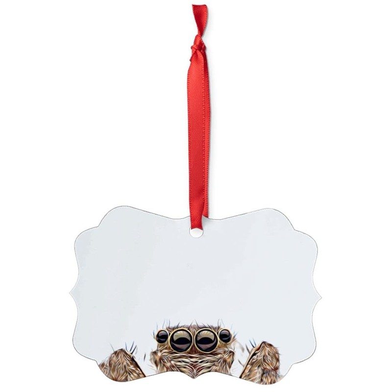 Funny Curious Jumping Spider Peeking Look Out Christmas Ornaments Benelux