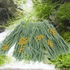 Kisangel Spawning Mops for Fish Tank - 10Pcs Fish Spawning