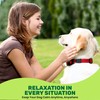 ActiveFur Nutrition Comfort Calm Tablets for Dogs