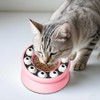 Interactive Cat Puzzle Feeder Bowl – Slow Feed Toy for
