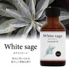 Natural 100% White Sage Oil 100ml Essential Oil Aroma Oil