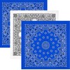 Bandana, Dodger, 3 Piece Set (Dogers paleness Blue) USA Patch
