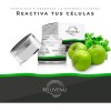 Kit 3 Cremas Rejuvenu, C. Madre, Astaxantina, Antioxidante Todo Tipo