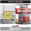 Zinsser 5001 WaterTite Professional Waterproofing Paint, Gallon, White