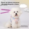 Pechera Arnés para Perros pequeños, Arnés para Perro Ajustable Reflectante
