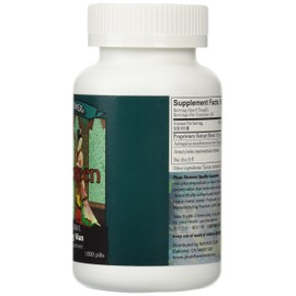 Jade Screen Teapills Economy Size - Yu Ping Feng Wan - 1000 Pills