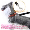 Pettom Long Lead, Dog Training, Relieves Stress, For Walking 32.8