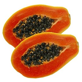 Palm Beach Medicinal Herbs - Florida Red Royale Papaya (Carica Papaya) - Packet of 5 Seeds