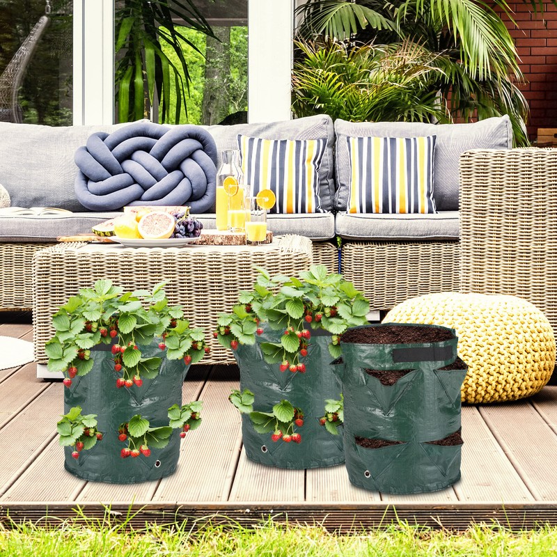 Relaxdays Set of 3 Strawberry Planters with Bottom Holes, 2