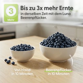 Luna® Raccogli bacche Made in Austria, tradizionale pettine per bacche in legno di faggio, raccolto fino a 3 volte più veloce senza piegarsi, per mirtilli, mora e ribes – Protegge schiena e