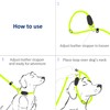 WePet Dog Training Slip Leash, No Pull, Durable Reflective Lead,