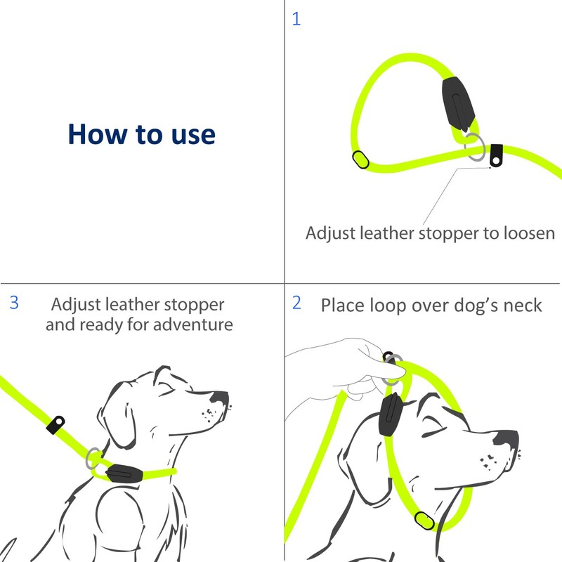 WePet Dog Training Slip Leash, No Pull, Durable Reflective Lead,