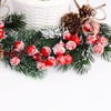 FUTERLY 10 Pcs Christmas Berries Pine Cones for DIY Crafts-Christmas