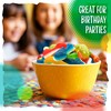 Gummy Sharks and Rainforest Frogs Candy Mix | 2 Pound