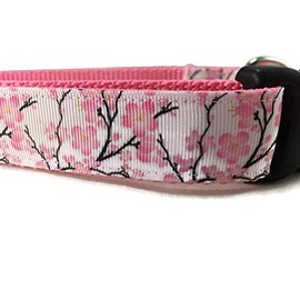 Spring Dog Collar, Caninedesign, Valentine, St Patricks Day, Easter, 1 inch Wide, Adjustable, Nylon, Medium and Large