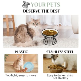 BNOSDM Raised Cat Dish Shallow Ceramic Kitten Bowl with Gold Stand, Elevated Whisker Fatigue Cat Dry/Wet Food Plate for Indoor Kitty Small Cats, Fishbone Pattern
