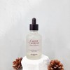 Skinfood Carrot Carotene Moist Effector 52ml Carrot Ampoule / 스킨푸드