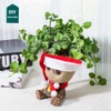 Bolanwich Planter,Flowerpot Action Figure for Plants & pens, Succulent Planter