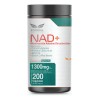 Nad+ Con Trimethylglycine Y Acido Alpha Lipoico, Pro Nmn Sabor