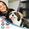 Hypeety 6 Pcs Bulk Pack Slip Leads Dog Pet Grooming