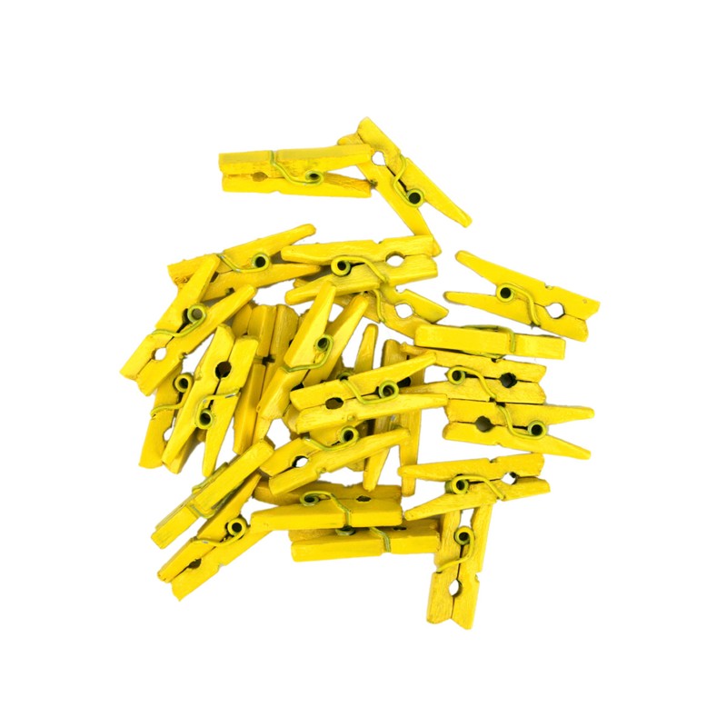 LWR CRAFTS Craft Wooden Mini Clothespins, 2.5cm Length, 15 Colors,