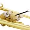 Trumpet Accessory Maintenance Cleaning Care Kit Including Trumpet Stand Valve