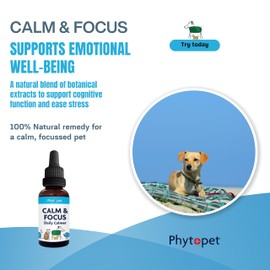 Phytopet Calm & Focus | 30ml | Natural Cognitive & Mood Support | Bacopa, Ashwagandha, St. John’s Wort | For Dogs, Cats, Birds, Horses
