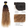 28 30 32 Inch Ombre Bundles Human Hair t1b427 Water