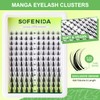 Fairy Lash Clusters Manga Lash Clusters Anime Cluster Eyelash Extensions
